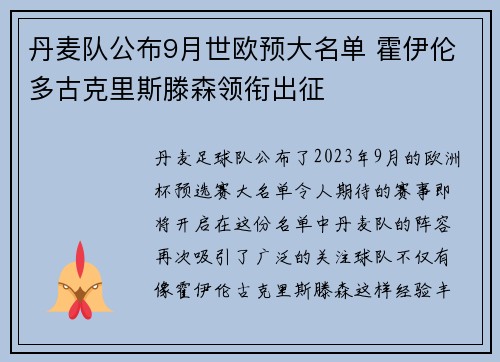 丹麦队公布9月世欧预大名单 霍伊伦多古克里斯滕森领衔出征